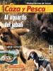 Rediseño layout