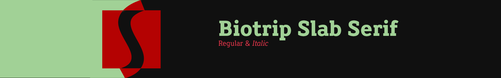 Biotrip Slab Serif Font Family - Regular & Italic