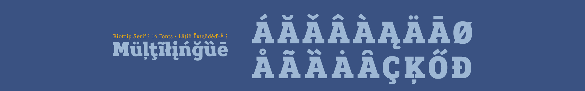 Biotrip Slab Serif Font Family - Multilingue