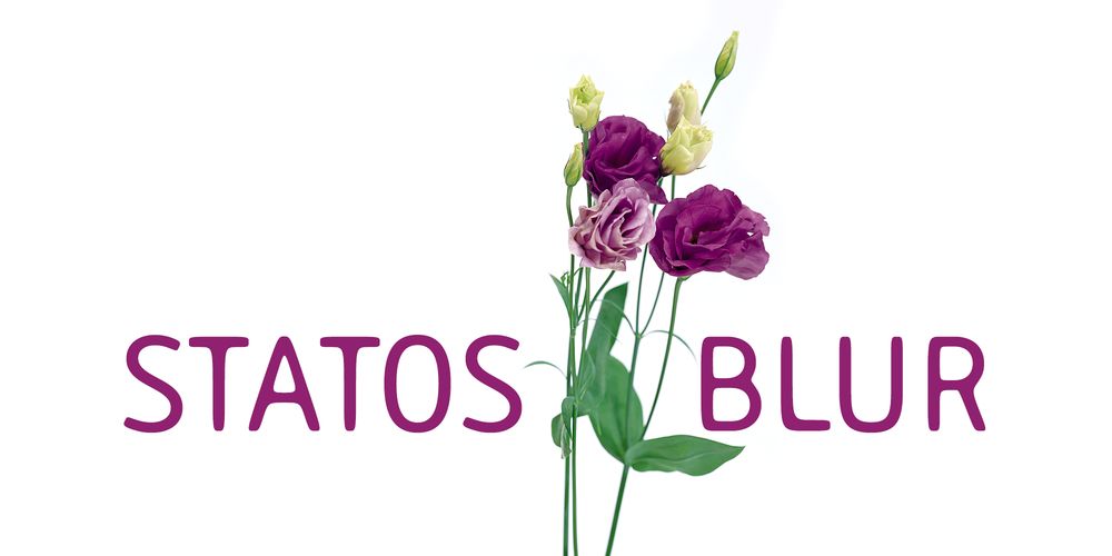 Statos-Blur-Typeface-Family